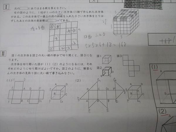 SAPIX サピックス 夏期集中志望校錬成特訓 NaOU-01～05 桜蔭コース