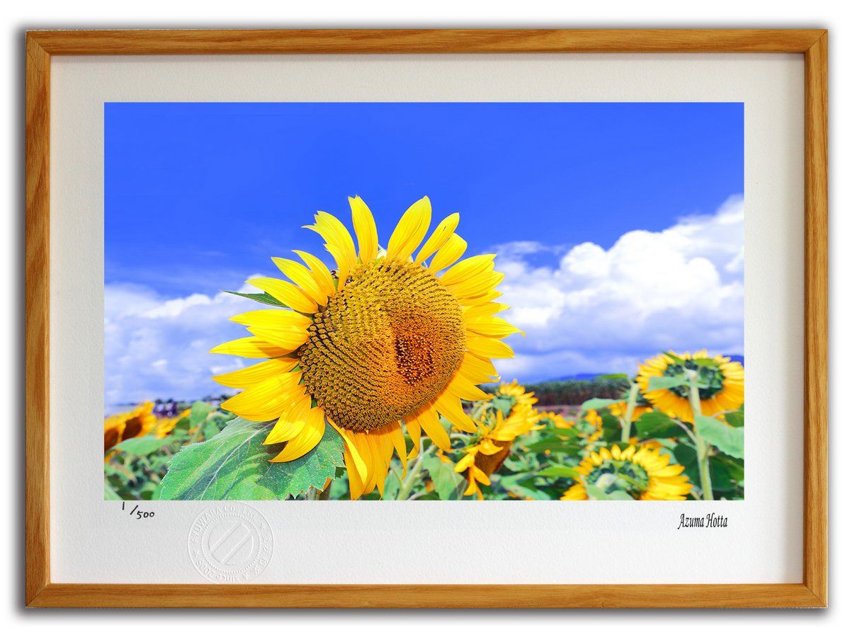 油彩画 「八ヶ岳初冠雪 諏訪湖晩秋」 油彩画 「八ヶ岳初冠雪 諏訪 心を