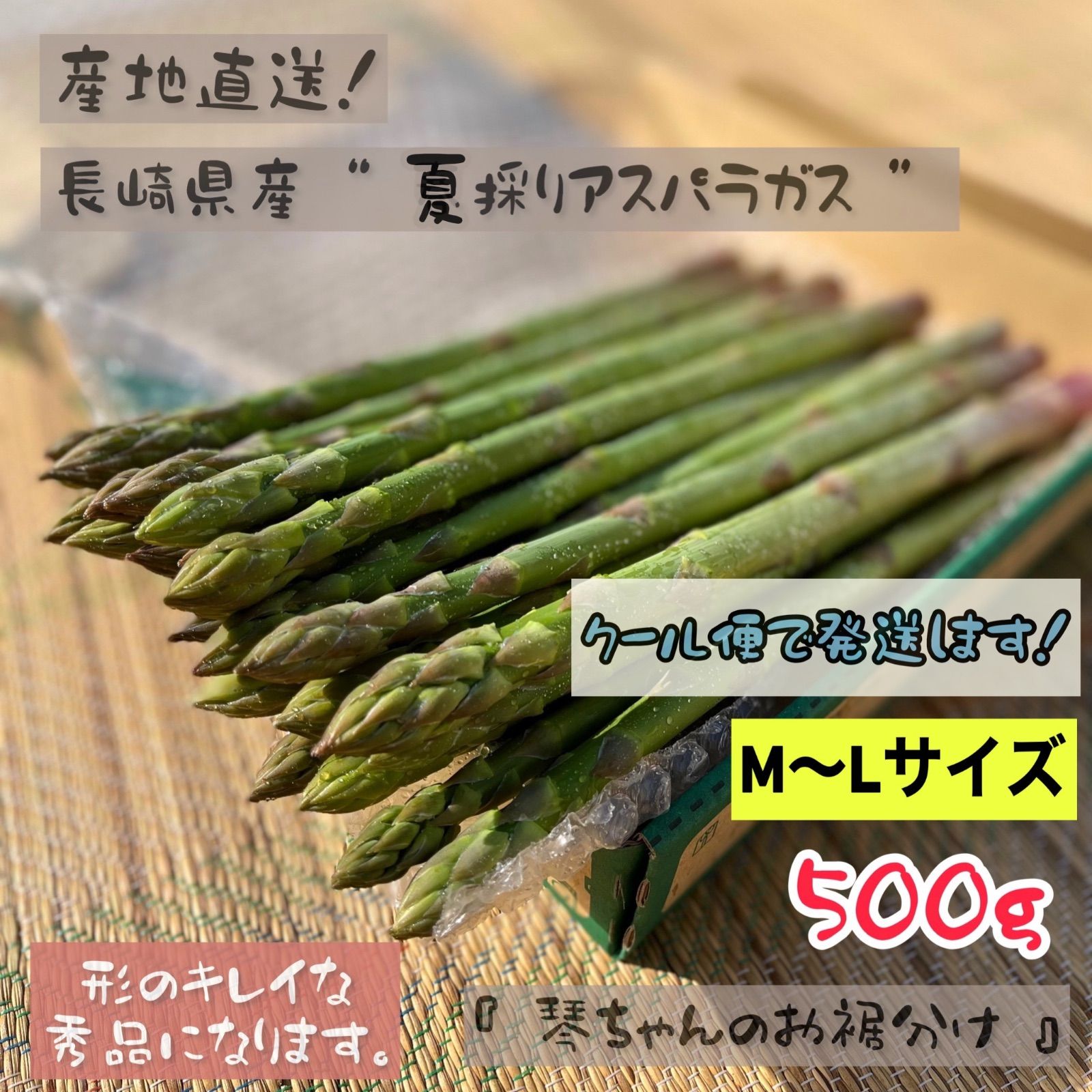 長崎県産『 琴ちゃんのお裾分け』夏採りアスパラガス 500g M〜Lサイ