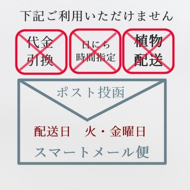 種類5:桃 園芸ラベル中 10枚セット 多肉植物ラベル お洒落なラベル ネームプレート 激安 園芸ラベル