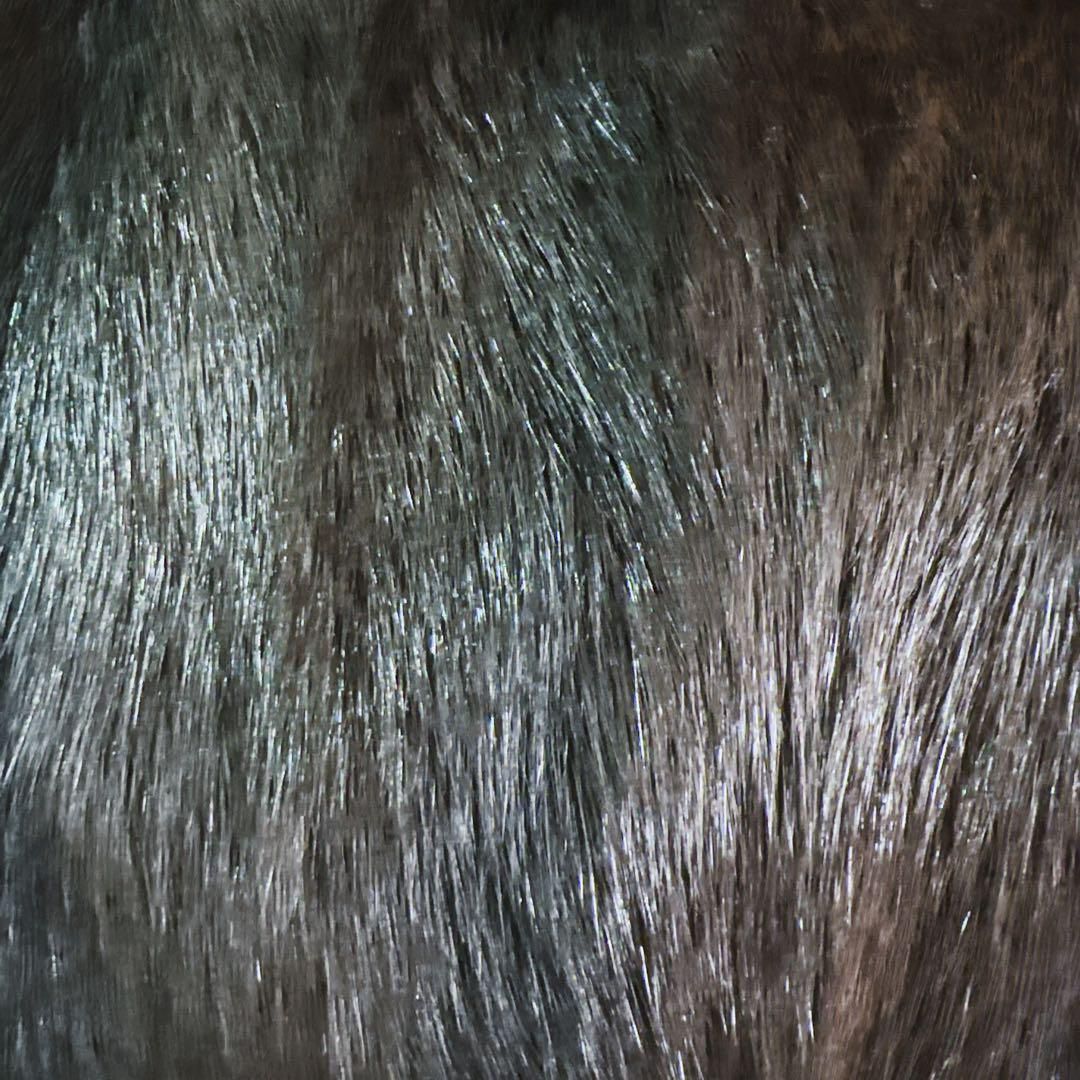 ベージュ 大人気