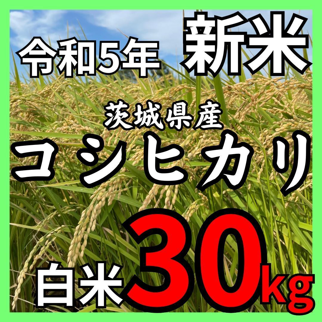 新米】令和5年 茨城県産 コシヒカリ 白米30kg 産地直送 - SHOP417