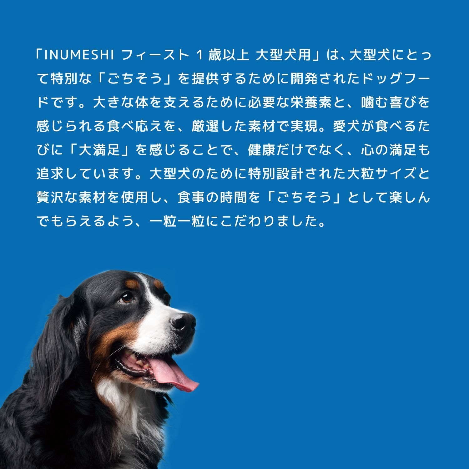 フィースト 1歳以上