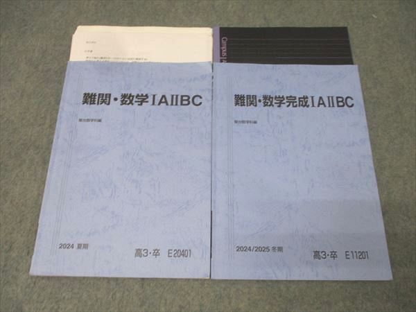駿台 難関・数学/完成IIIC テキストセット 2024 夏期/冬期 計2冊 永島豪 021S0D 駿台 難関・数学/完成IIIC テキストセット 2024 夏期/冬期 計2冊