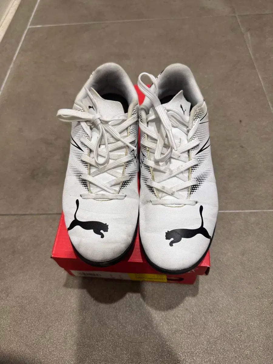 呪物☆生き霊遮断☆エネルギーチャージ波動最強蓮オルゴナイト