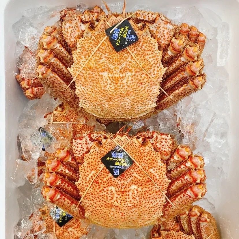 大切な人へのギフト探し 中国大明嘉靖年製魚藻文大皿 工芸品