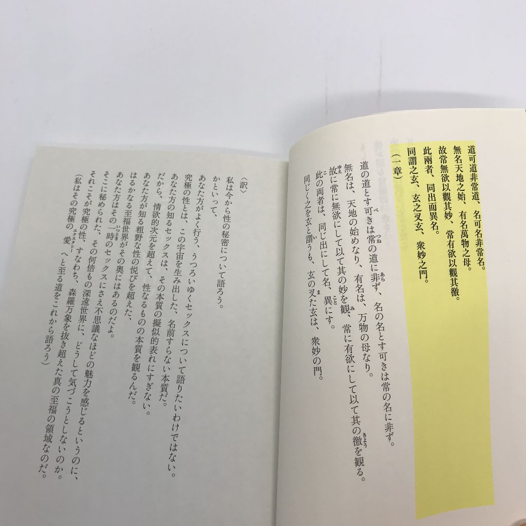タオ・コード : 老子の暗号が語り出す タオ・コード―老子の暗号が語り出す 性の五次元領域から迸る秘密