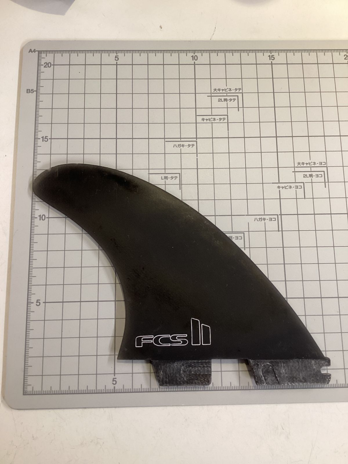 エフシーエス2 DANE