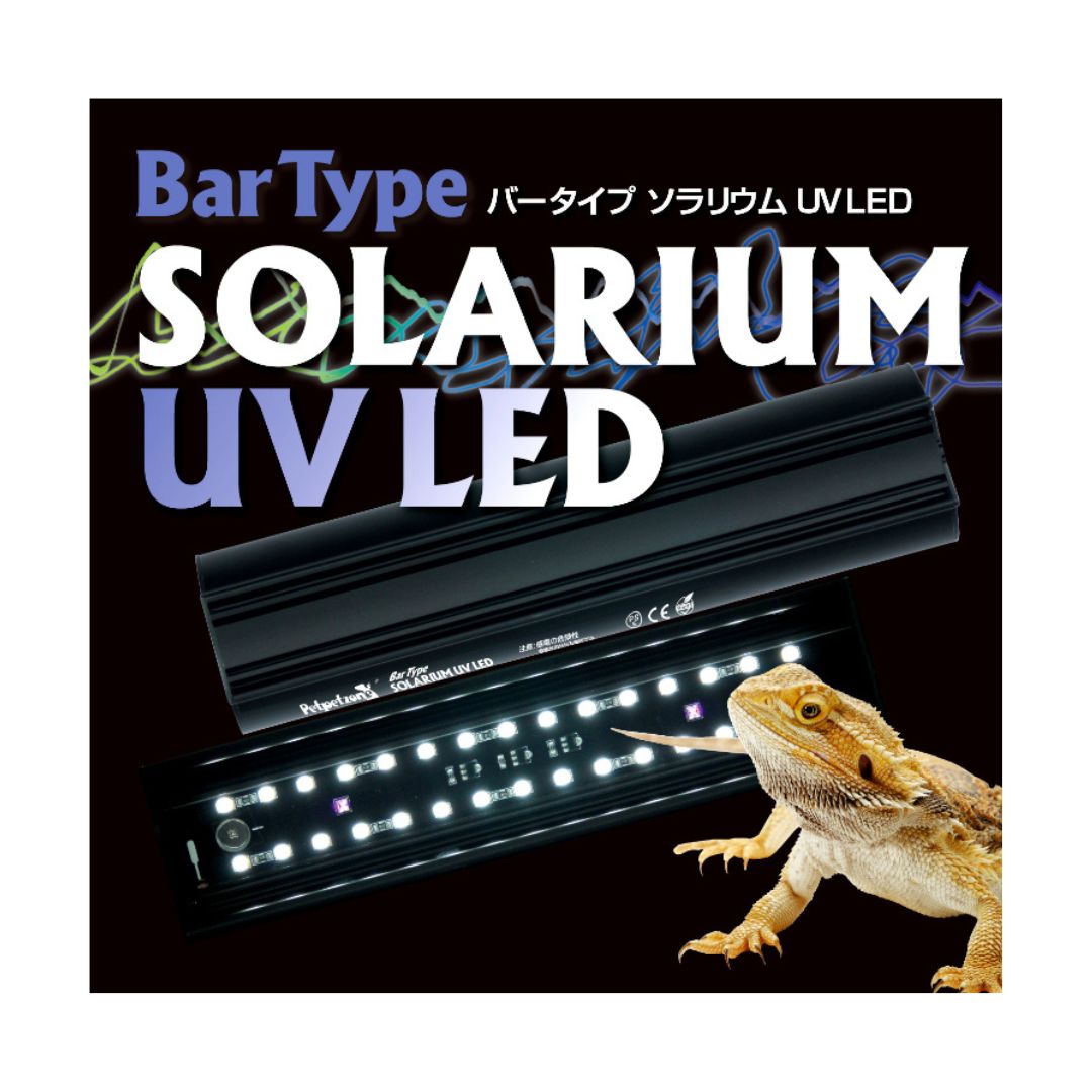 UV LED