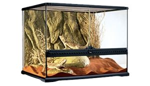 3営業日で発送 GEX ジェックス グラステラリウム 6045 PT2610 1セット