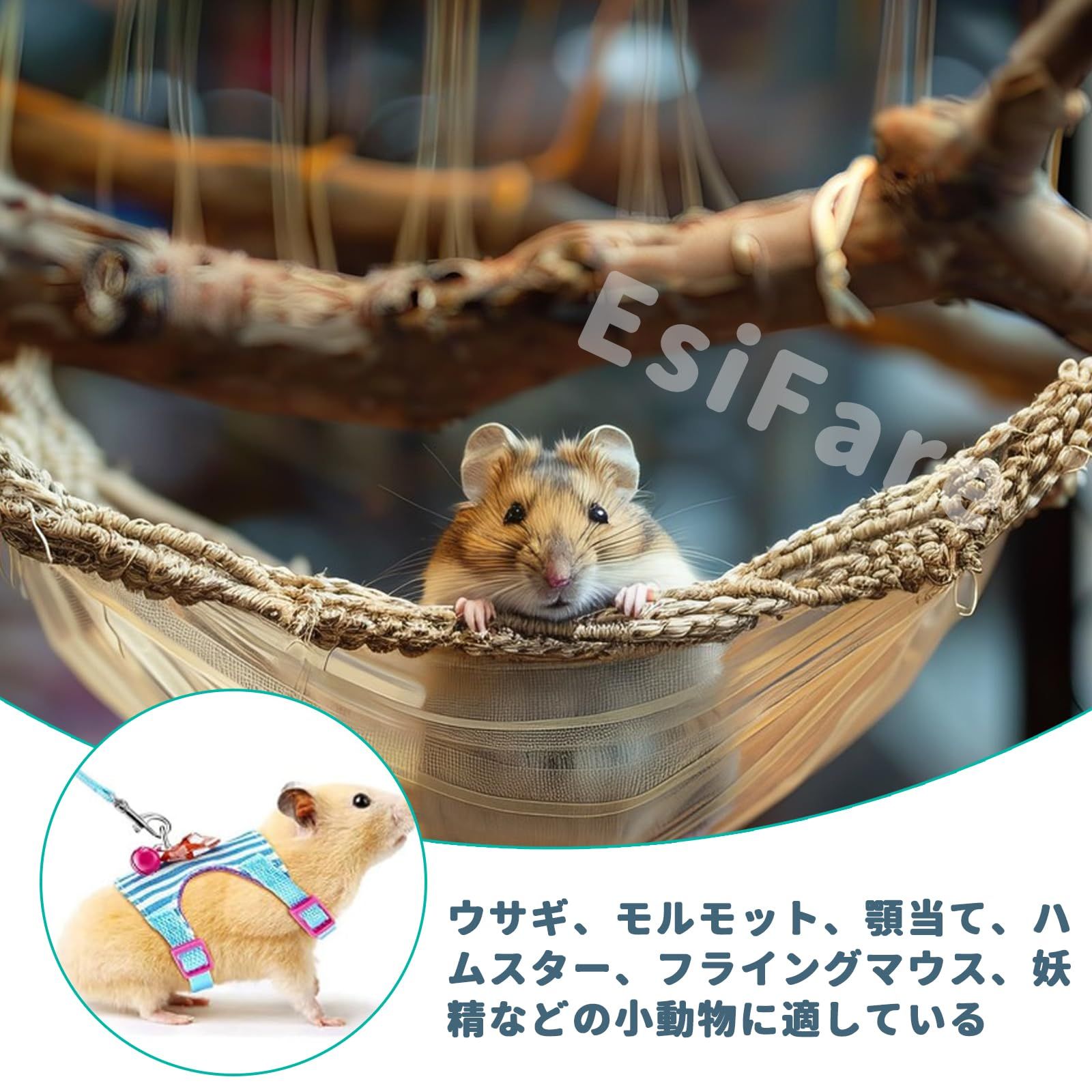 うさぎ ペット用品