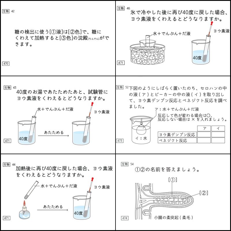 中学受験 暗記カード 理科 生物 サピックス 予習シリーズ コアプラス