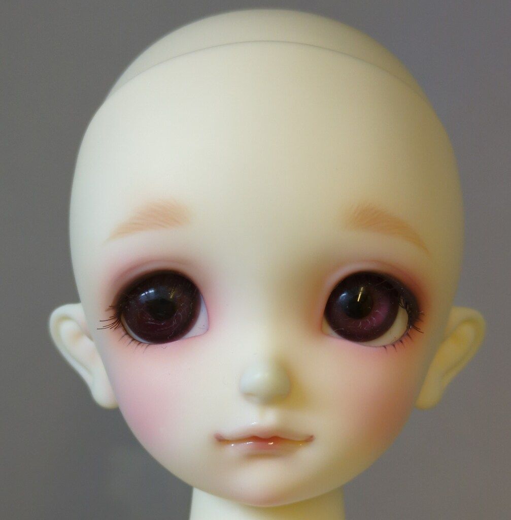 ボークス