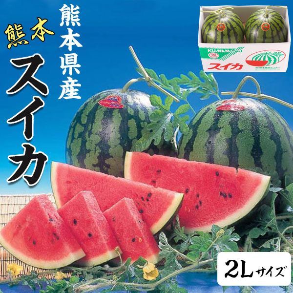 熊本県産スイカ Lサイズ 2玉14kg箱込み スイカ 熊本県産 1箱 2Lサイズ・7kg(×2玉セット・合計14kg) 高級
