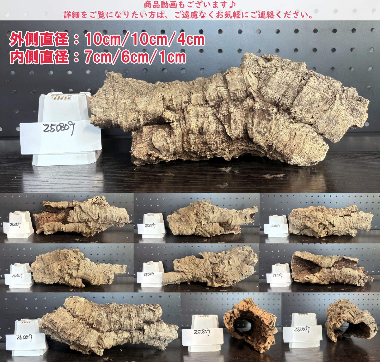 250821 ポルトガル産 キャノンコルク コルク樹皮コルク板　バージンコルク 250821 ポルトガル産 キャノンコルク コルク樹皮コルク板