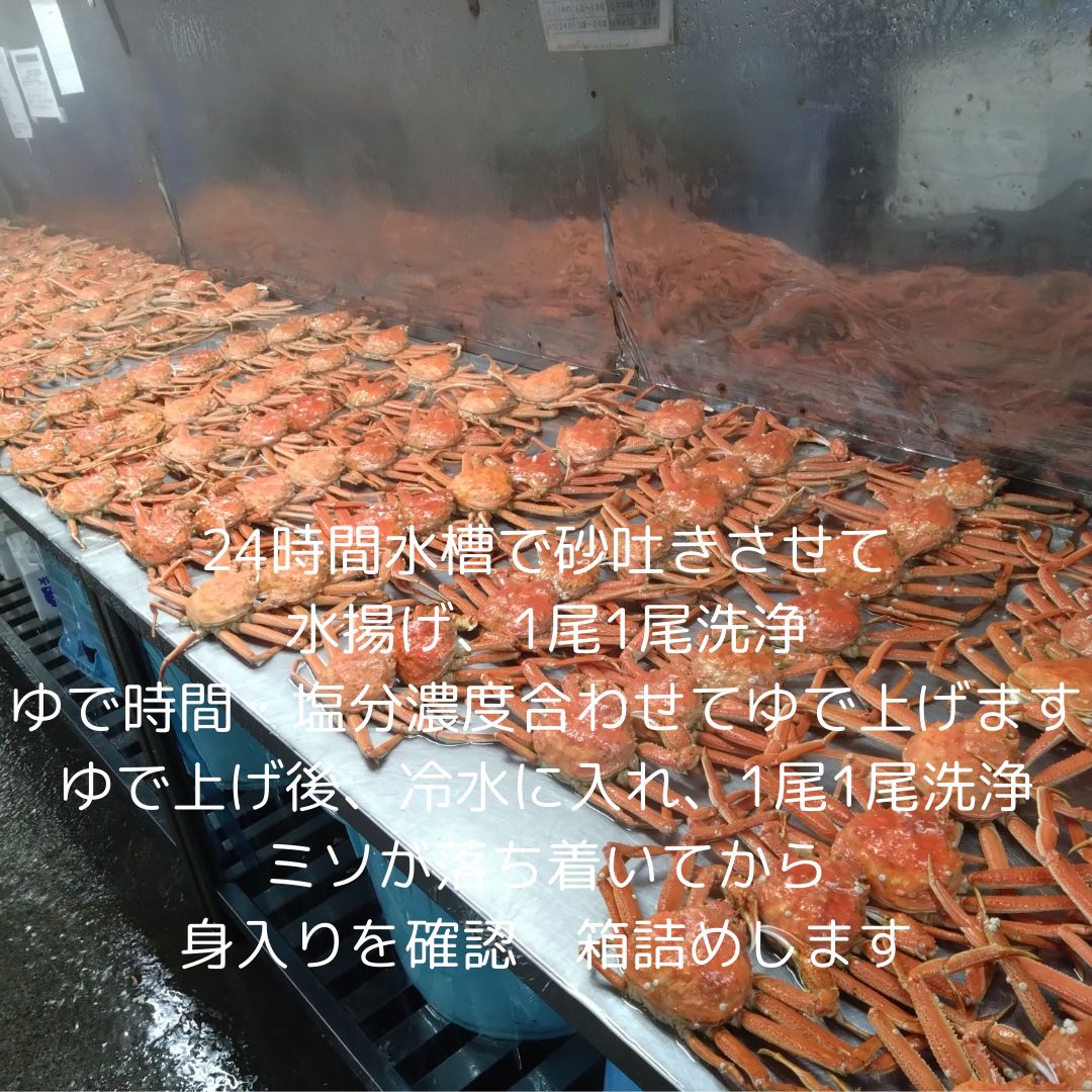 おおずわい6尾から10尾前後入で2.0㎏詰 冷凍便