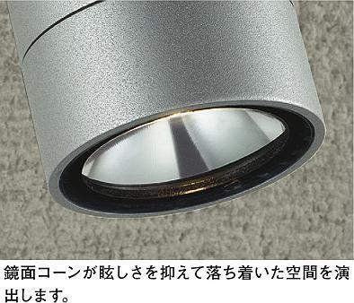 大光電機 DAIKO LEDアウトドアスポットライト LED内蔵 LED 14.5W 電球