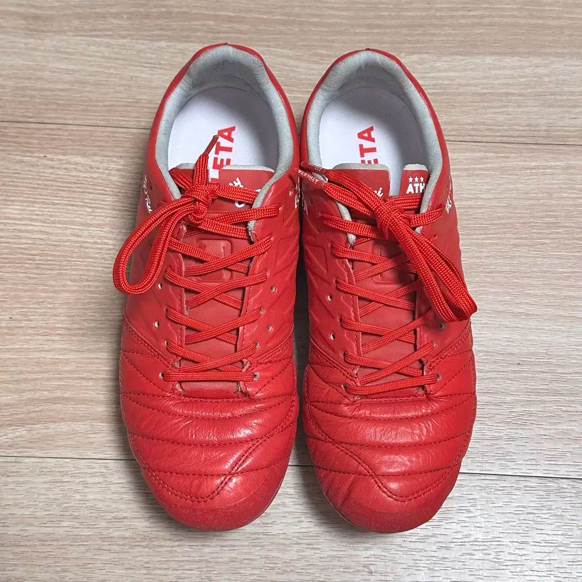 jbpot jb-pot 経食道心エコー講習会 テキスト DVD 販売 第41回 経食道