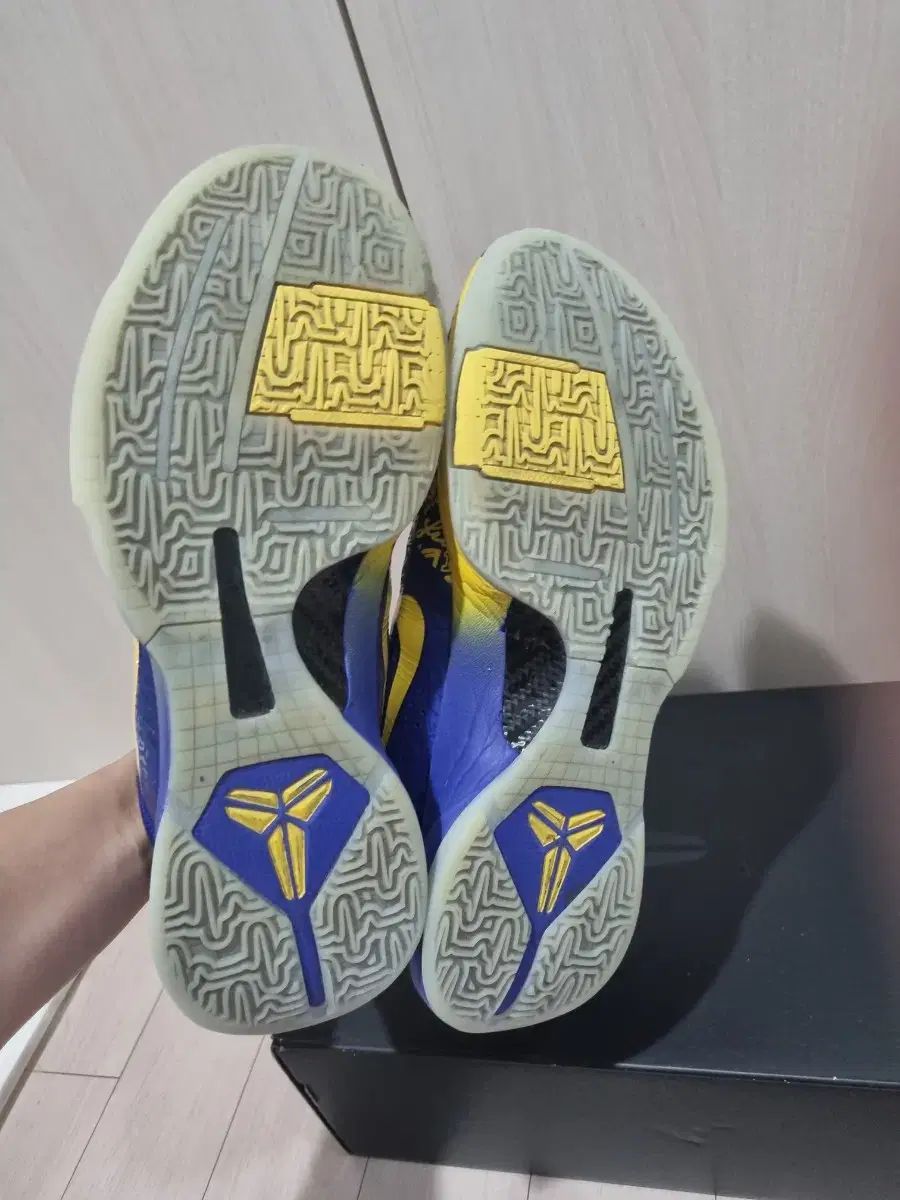 ナイキ コービー5 オーリング バスケシューズ 280