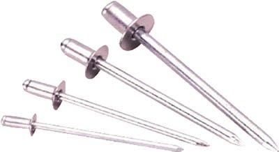 ロブテックス エビ ブラインドリベット皿頭 1000本入 アルミ スティール 5-8 NSA 58 K 3724263