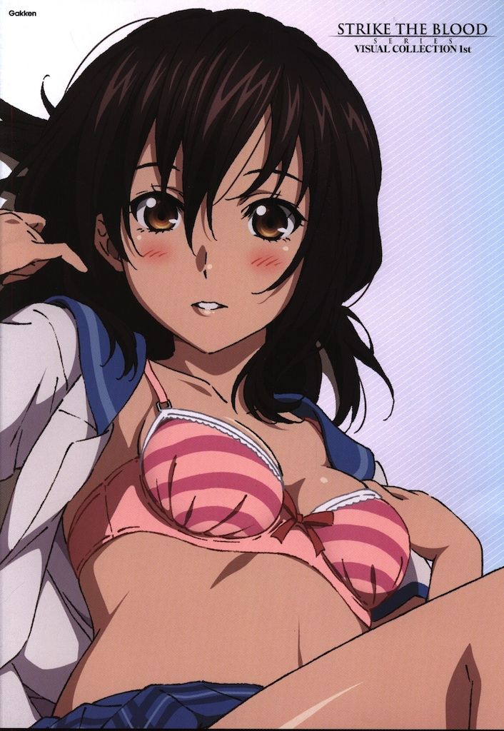 学研プラス 上)ストライク・ザ・ブラッド シリーズ ビジュアル