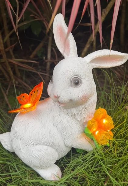 動物