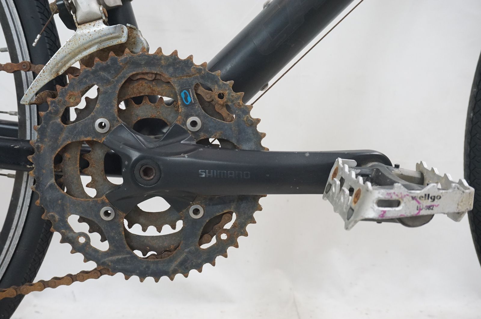 キャノンデール