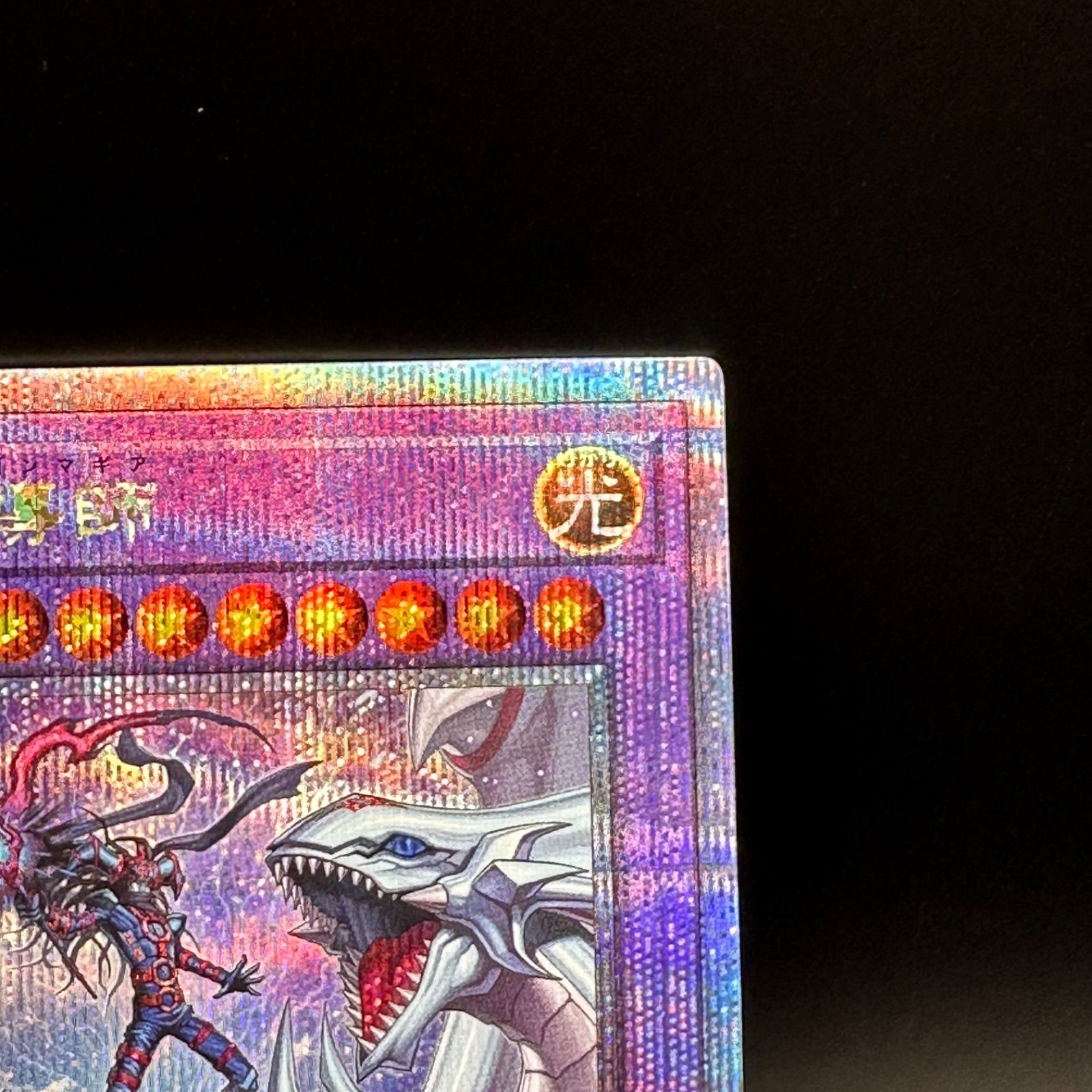 遊戯王 究極竜魔導師 クォーターセンチュリーシークレットレア