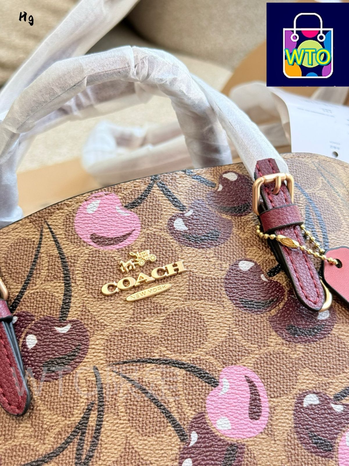 【可愛いチェリー柄★Coach★Mollieトートバッグ25 】 可愛いチェリー柄☆Coach☆Mollieトートバッグ25 in Canvas