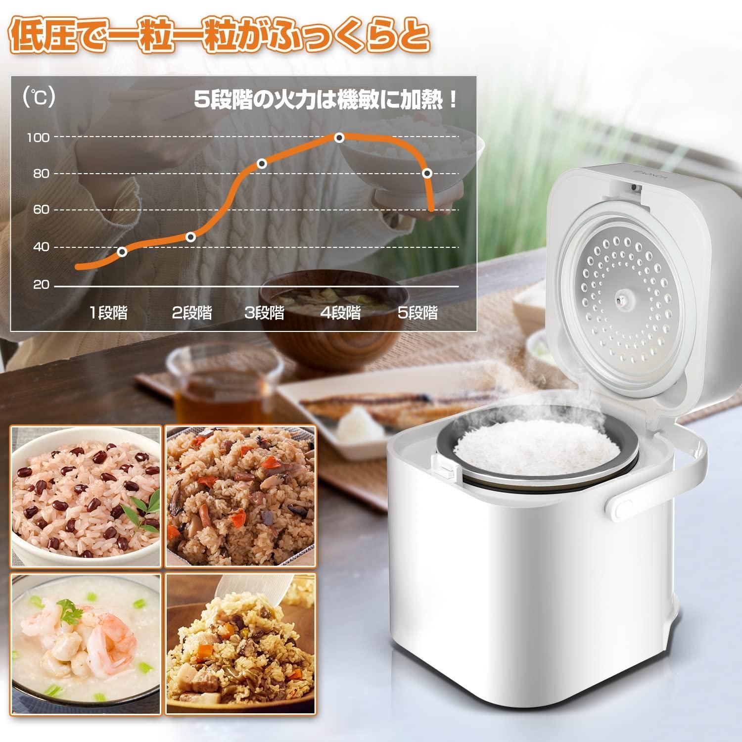 数量限定オープン記念価格】マイコン式 普通 【限定ブランド】炊飯器