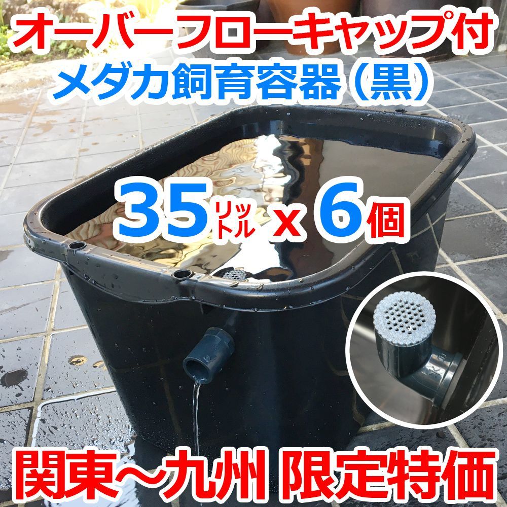 メダカ飼育ケース 35㍑黒x6個 オーバーフローキャップ付（関東～九州への発送限定）メダカ飼育容器 メダカ飼育セット 金魚 らんちゅう 水草  ビオトープ 睡蓮 水槽 タライ トロ舟 プラケース 色揚げ【約50cmx約38cmx約29cm】 - メルカリ