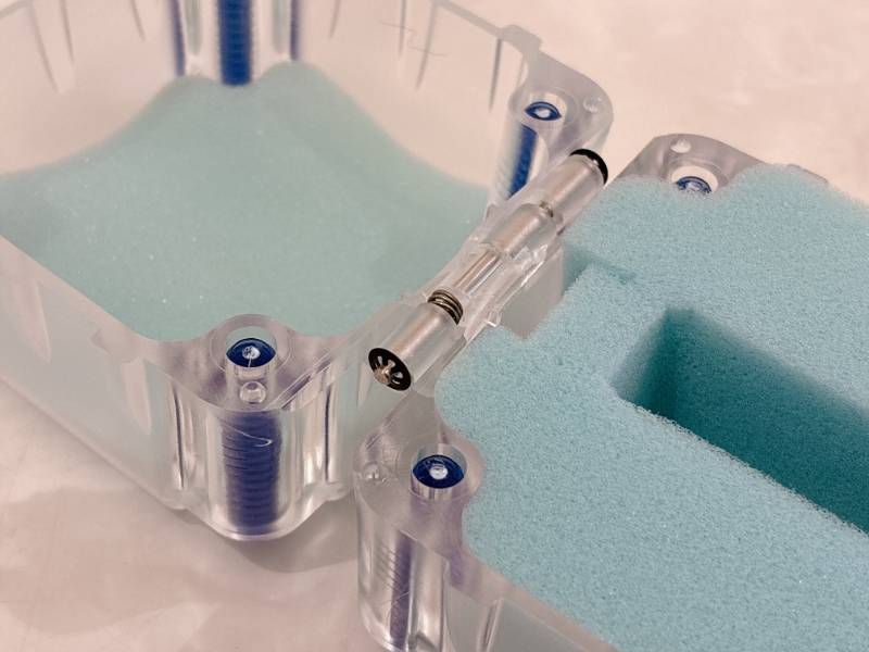 エクステンダークワトロ ハイビスカス