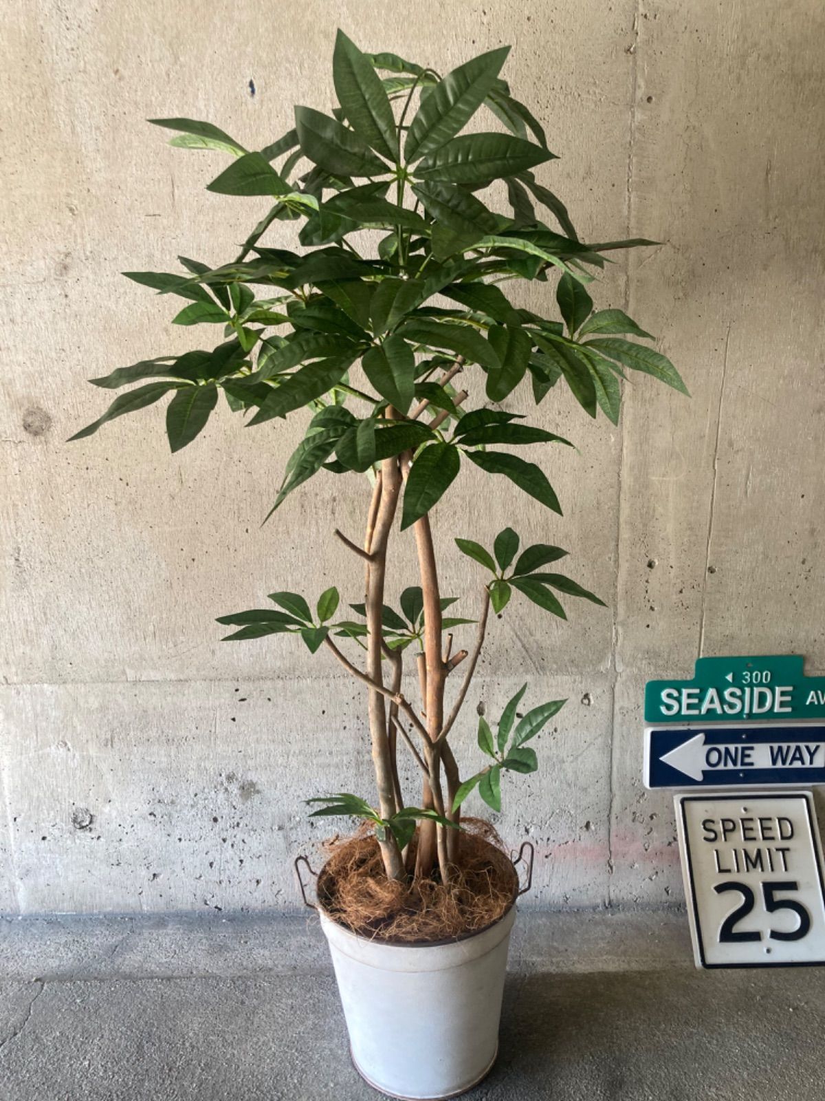 太郎 光触媒 人工観葉植物 ウォールグリーン フェイク ブリキ缶 太郎 光触媒 人工観葉植物 ウォールグリーン フェイク ブリキ缶