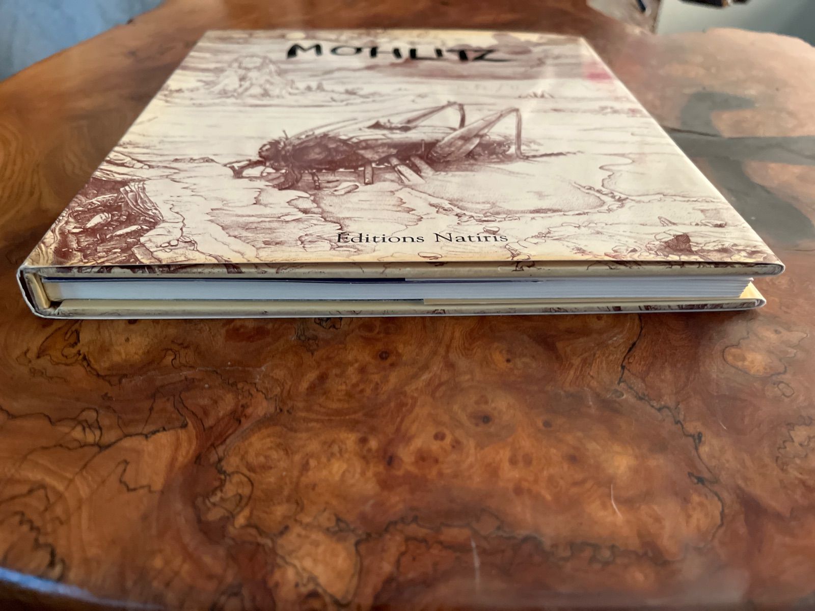 洋書 MOHLITZ DESSINS フィリップ・モーリッツの画集「Mohlitz Gravures et Dessins