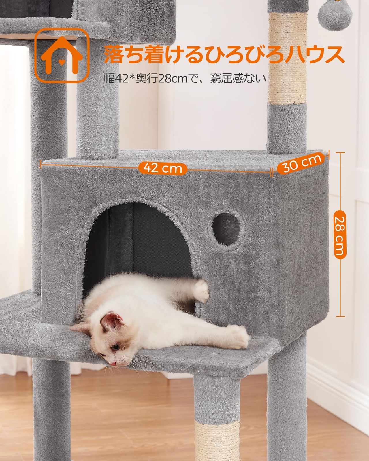 運動不足解消 多頭飼い