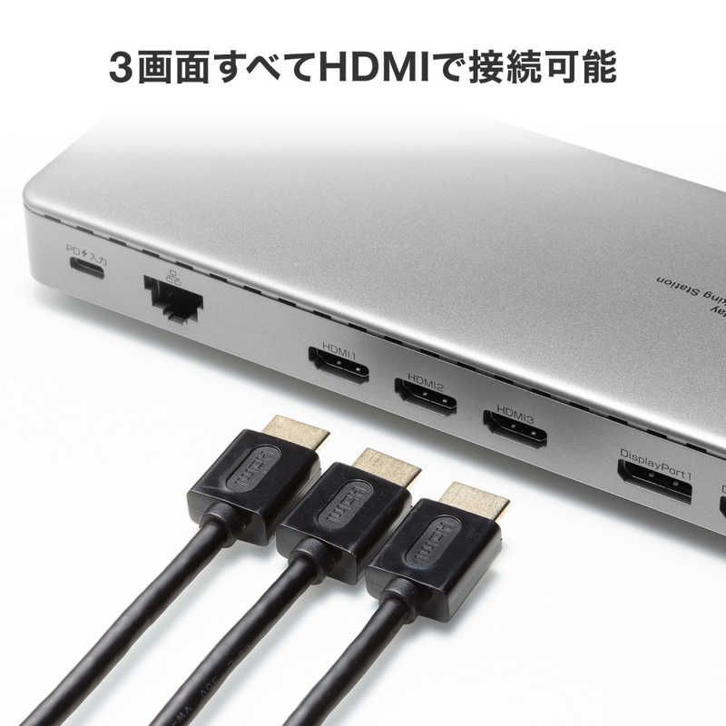 サンワサプライ ドッキングステーション HDMI DisplayPort×4K×3画面出力対応 USB-CVDK20 WWW_OPDRERGINERDOGAN_COM