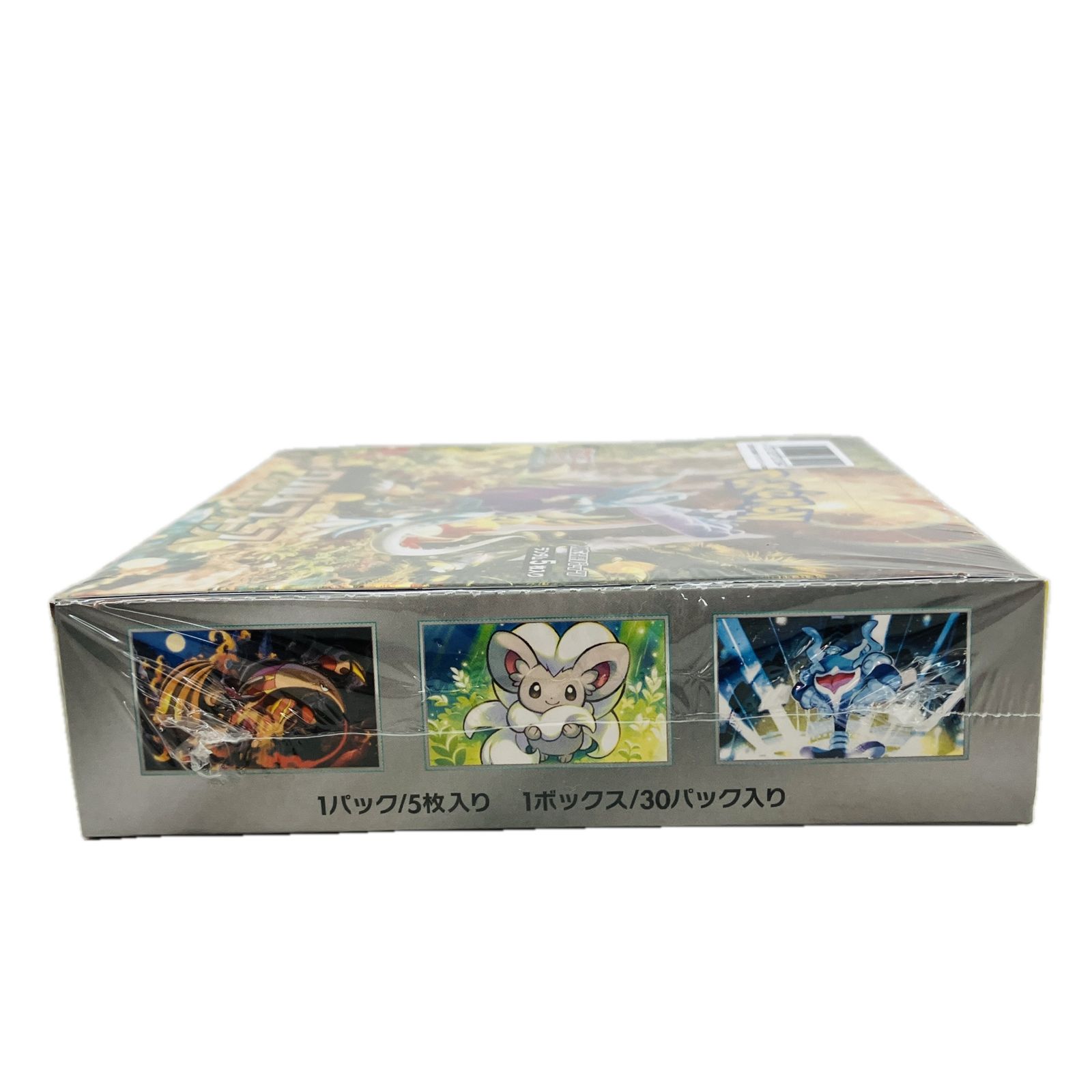 株式会社ポケモン ポケモンカードゲーム ワイルドフォース 拡張