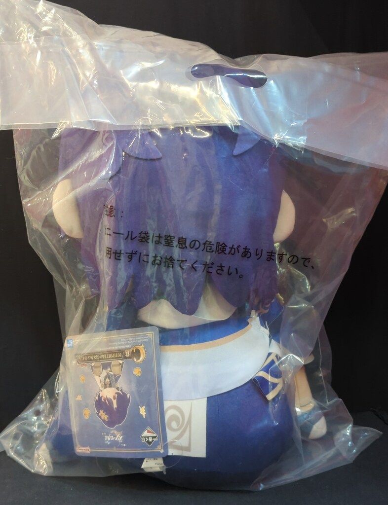 BANDAI SPIRITS 一番くじ 崩壊:スターレイル Vol.2 C賞 Dr