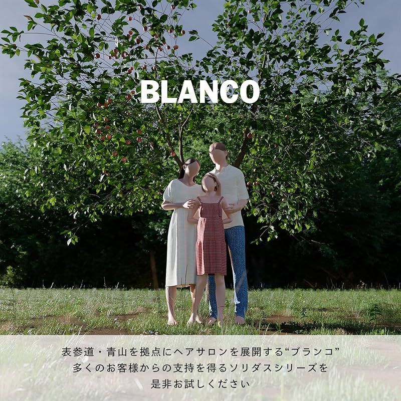 【3本】ソリダス ベイシス トリートメント ウォーター ヘアミスト 200ml Amazon | 【ダメージヘア専用】 ソリダス サロン専売 ベイシス