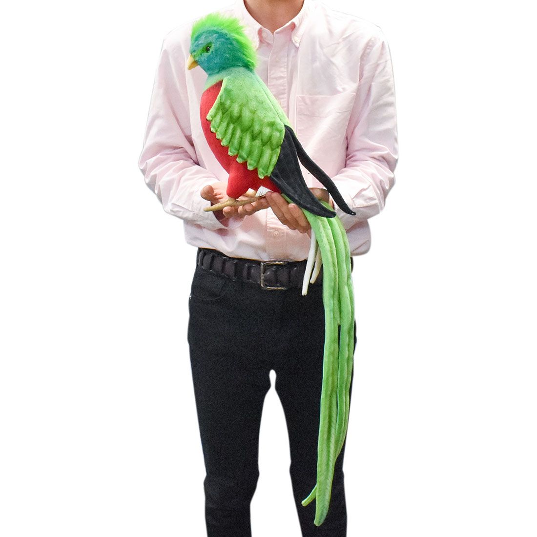 HANSA8143 ケツァール 31cm RESPLENDENT QUETZAL BH8143 世界で一番