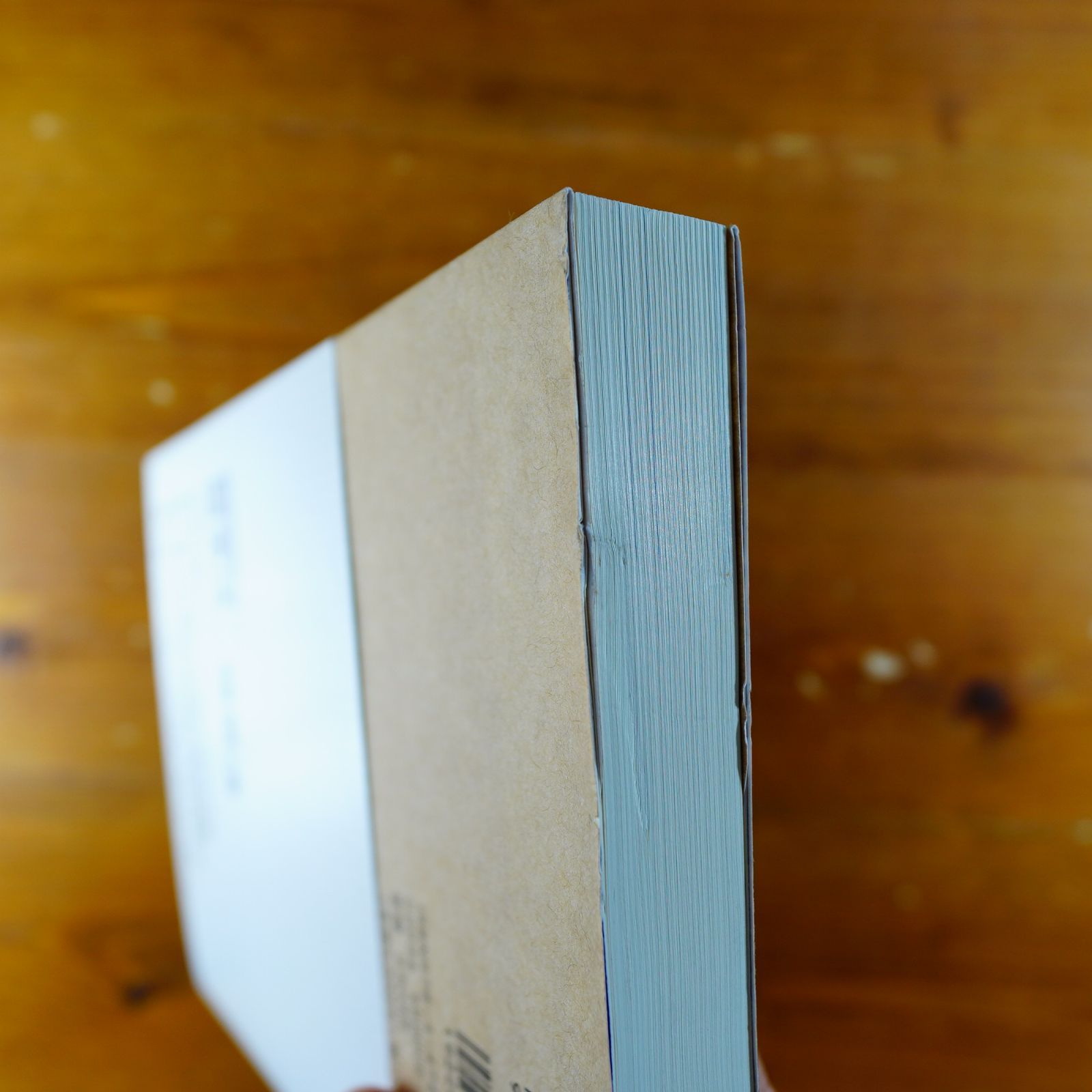 ビジネス法体系 競争法/独禁法      d2000