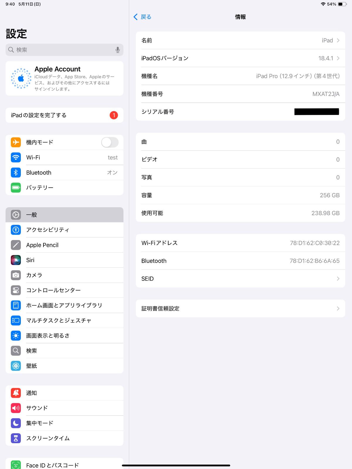 Apple iPad