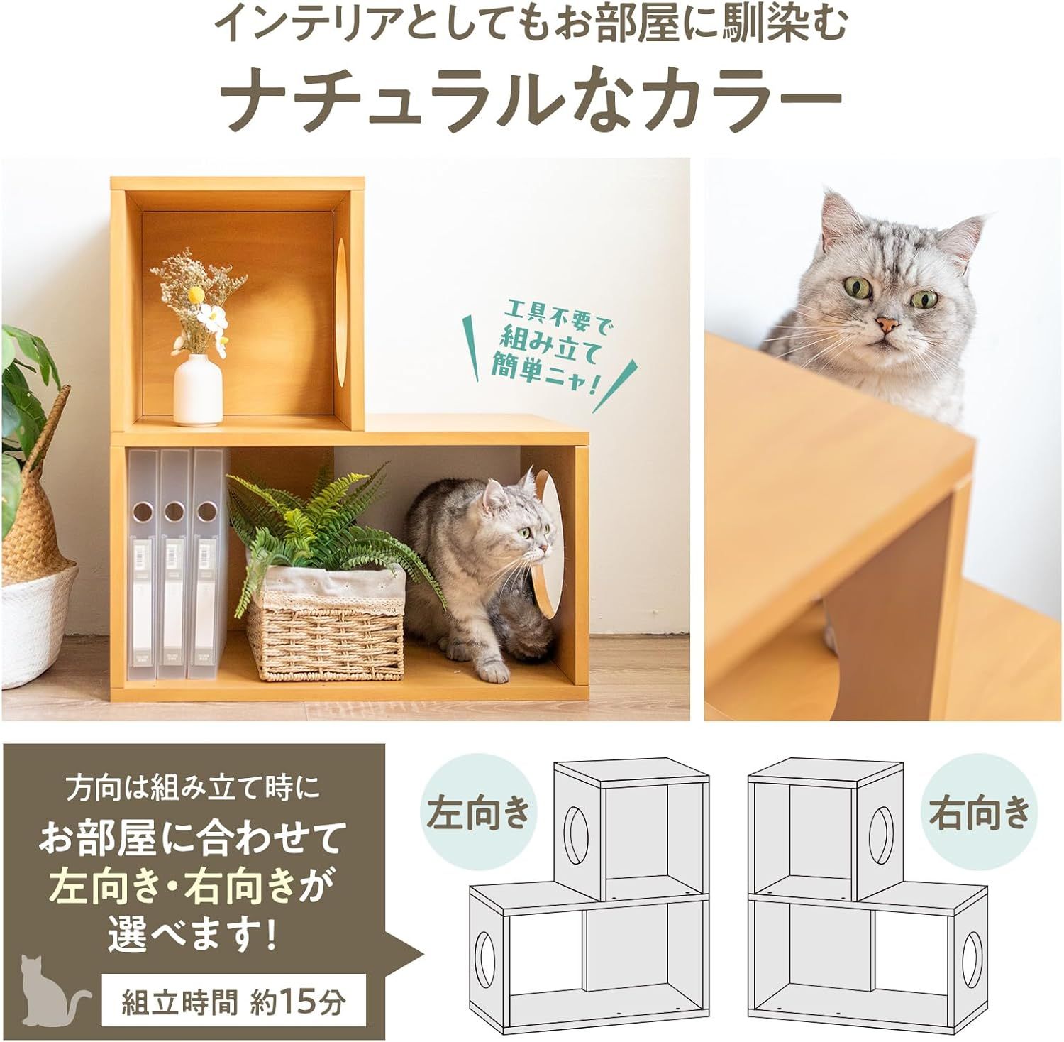 組み立て簡単
