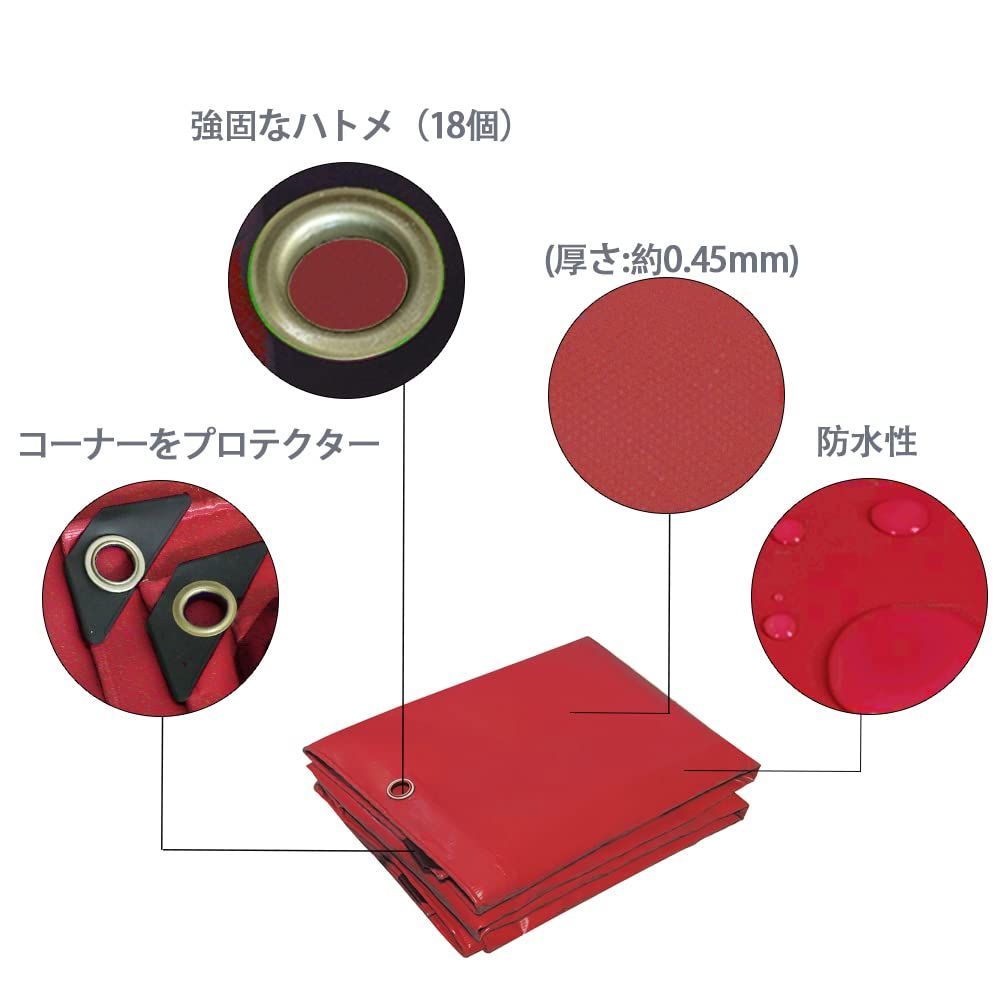 ゴムロープ付属 トラックシート