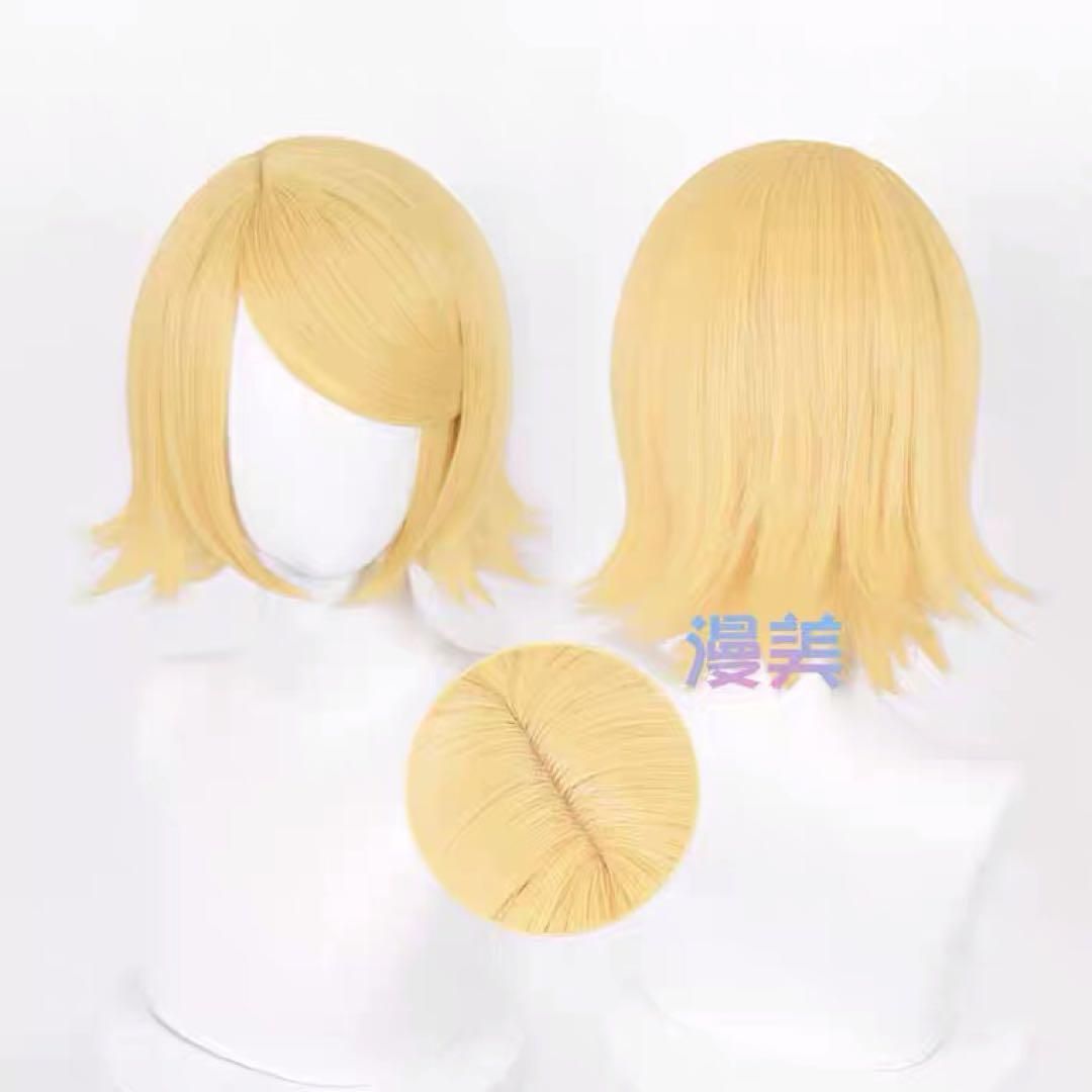 コスプレ衣装 ウィッグ