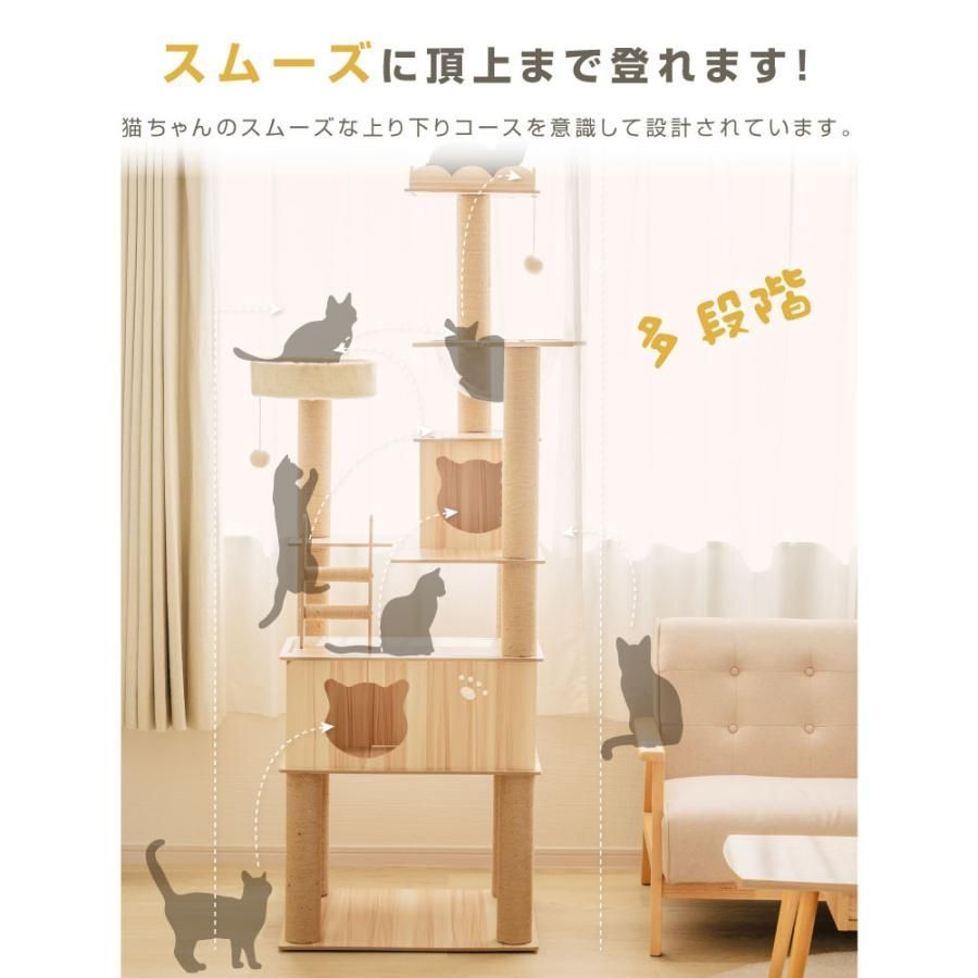猫用 運動不足