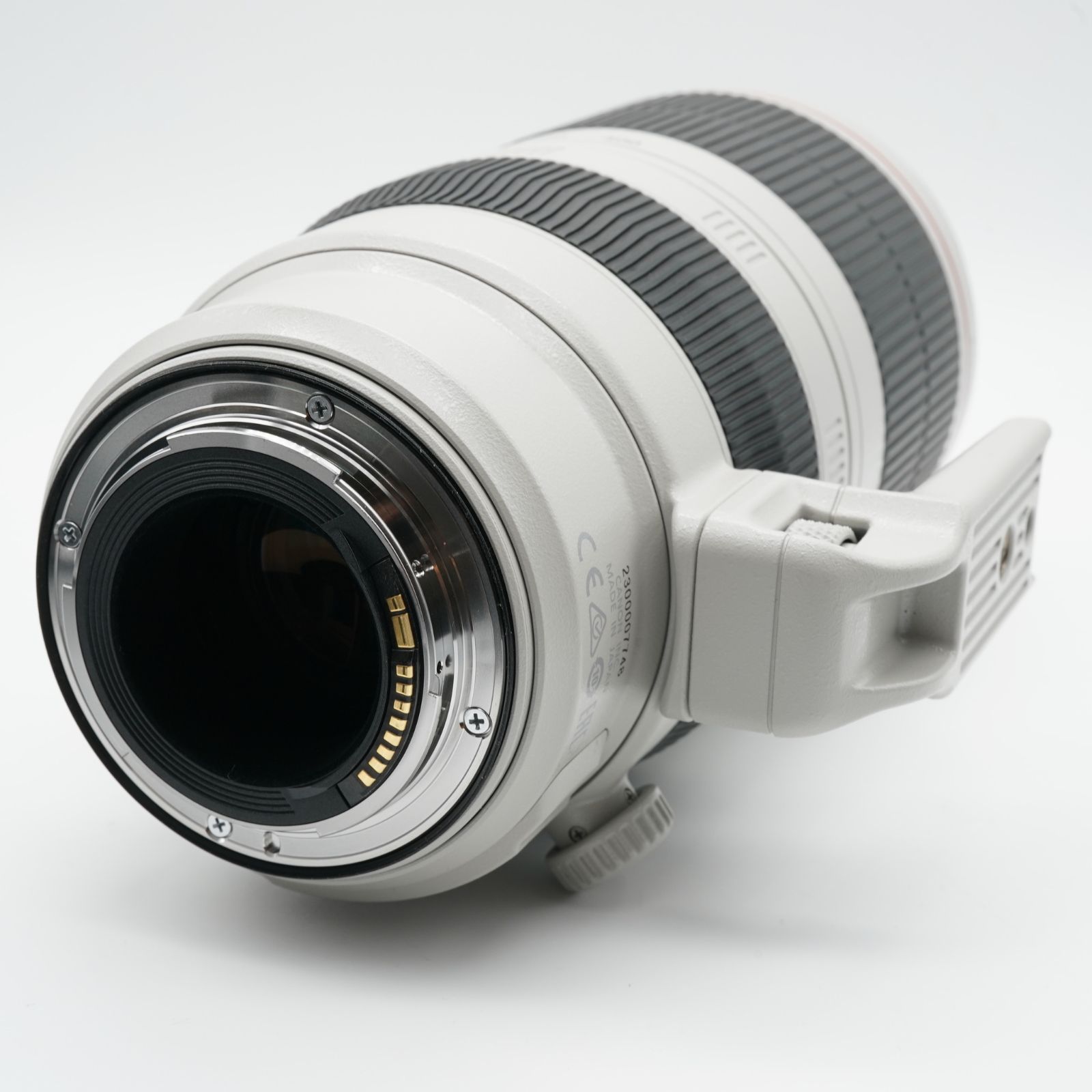 EF100-400mm F4.5-5.6L