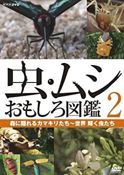 非常に良い」虫・ムシ おもしろ図鑑 2 森に隠れるカマキリたち~世界