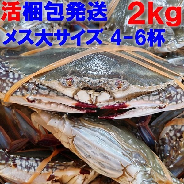 【時期初め内子確率高めです】活梱包発送 ワタリガニ 「メス大２ ｋｇで4-6杯」 渡り蟹 ガザミ ケジャン