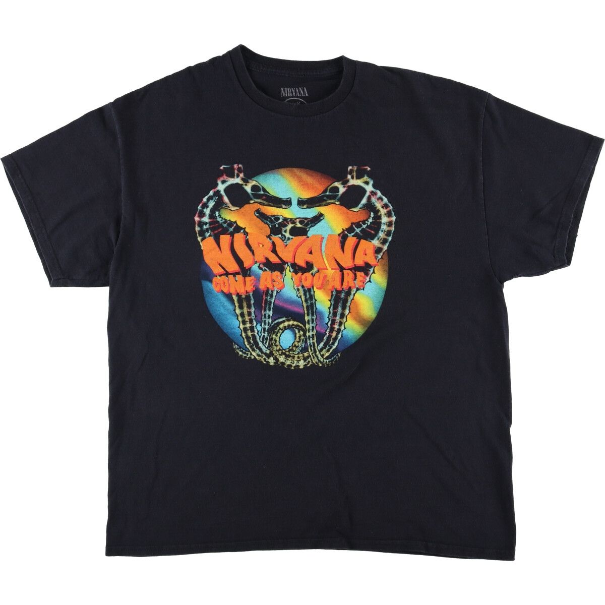 古着 NIRVANA ニルヴァーナ バンドTシャツ バンT メンズS相当 /eaa576221